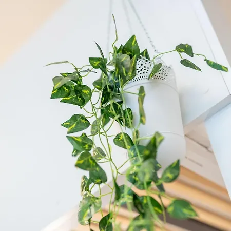 Ferienwohnung Cozy Modern Nest In The Heart Of Vienna With Netflix Exterior foto